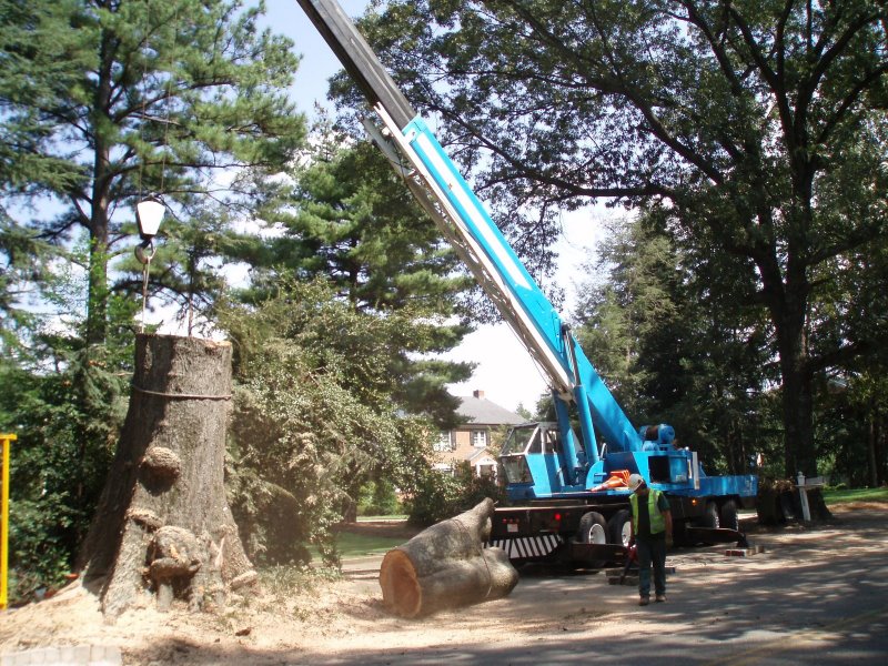 IMS Assists Local Companies to Clean Up After Hurricane Irene