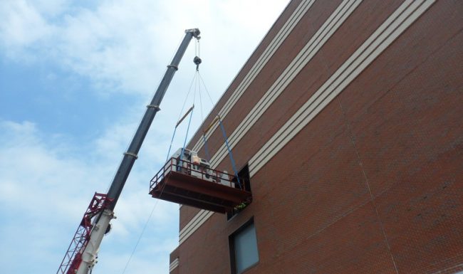 Plant relocation